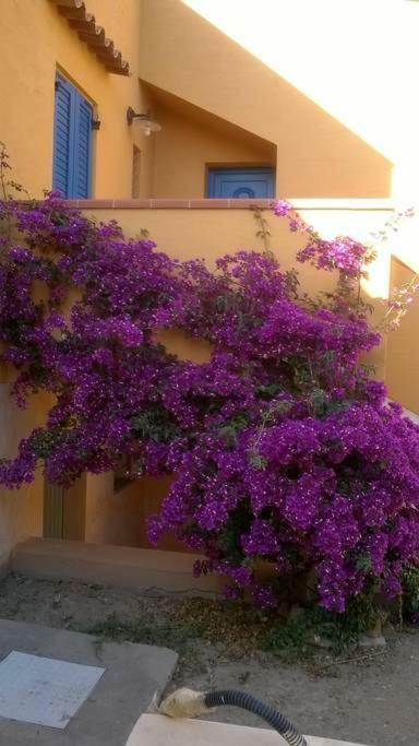 Casa Sa Ide Vila Torre dei Corsari Exterior foto